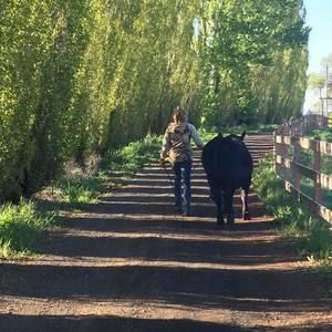 Meet your Posher, Shawna